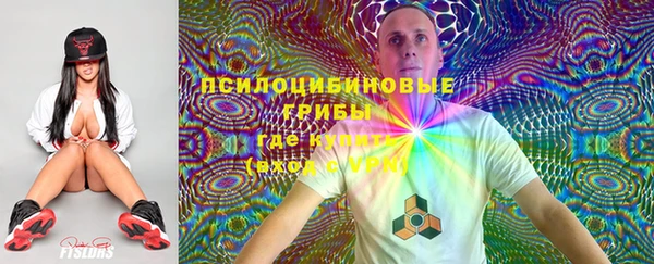 PSILOCYBIN Верея