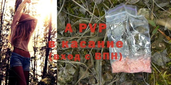 PSILOCYBIN Верея