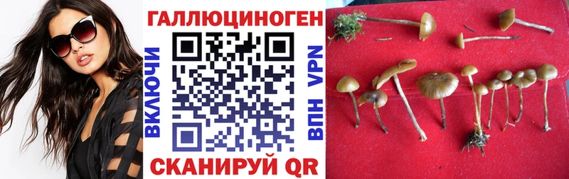 продажа наркотиков  Нытва  Галлюциногенные грибы прущие грибы 
